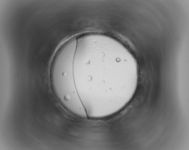 X0000115161168200911241543