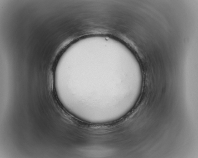 X0000115161171200911241543