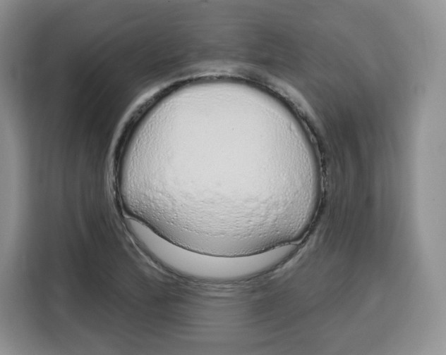 X0000115161172200911241543