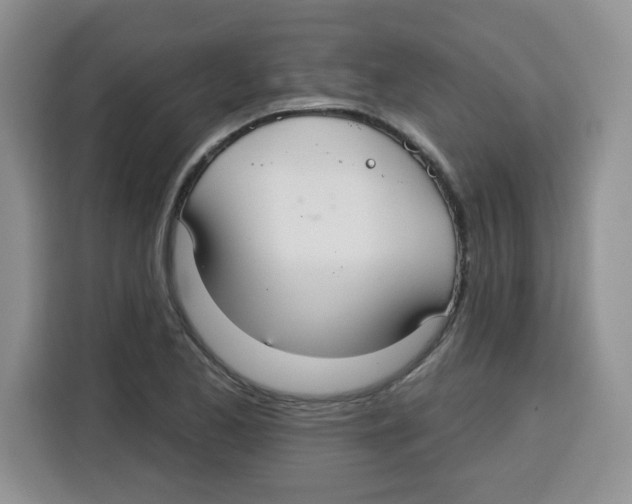 X0000115161173200911241543