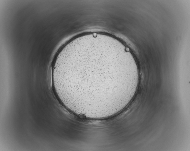 X0000115161175200911241543