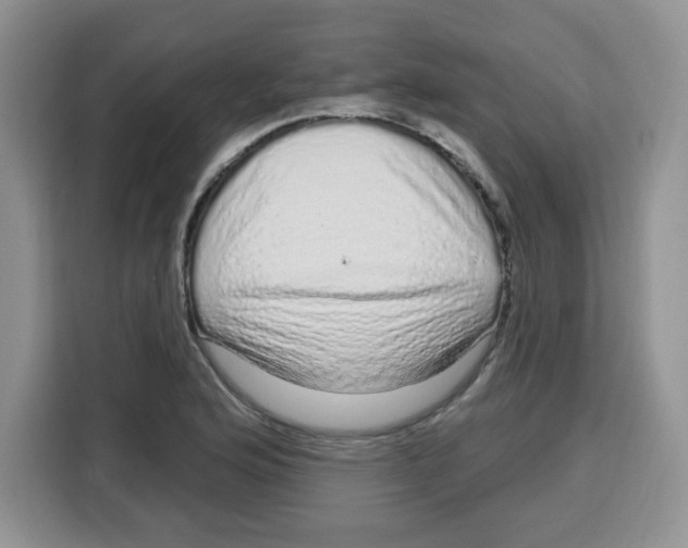 X0000115161176200911241543