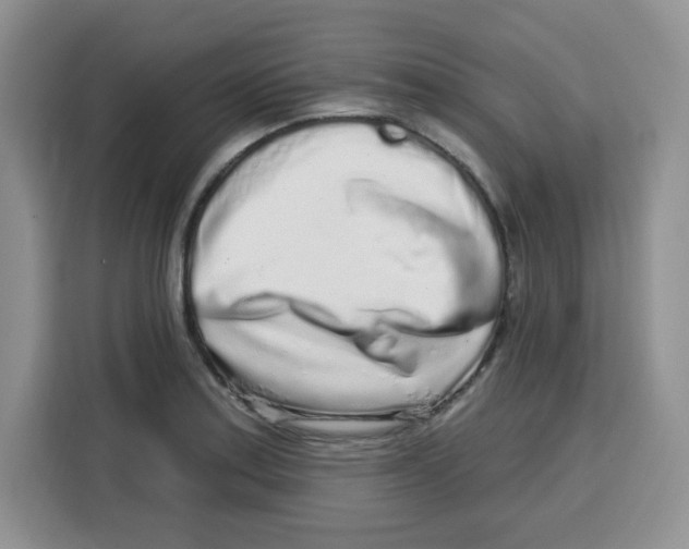 X0000115161179200911241543