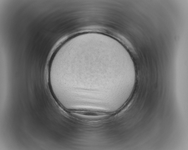 X0000115161180200911241543