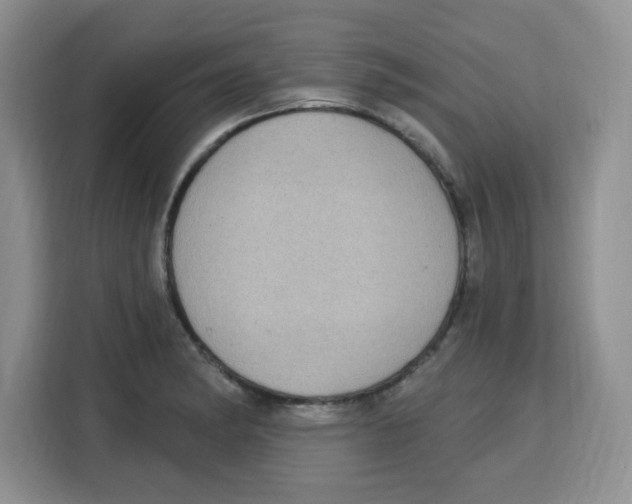 X0000115161182200911241543