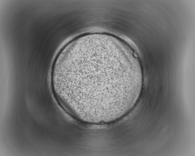 X0000115161183200911241543