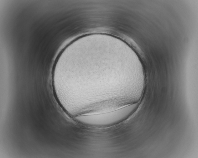 X0000115161184200911241543