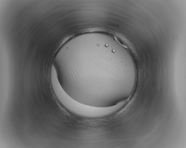 X0000115161185200911241543