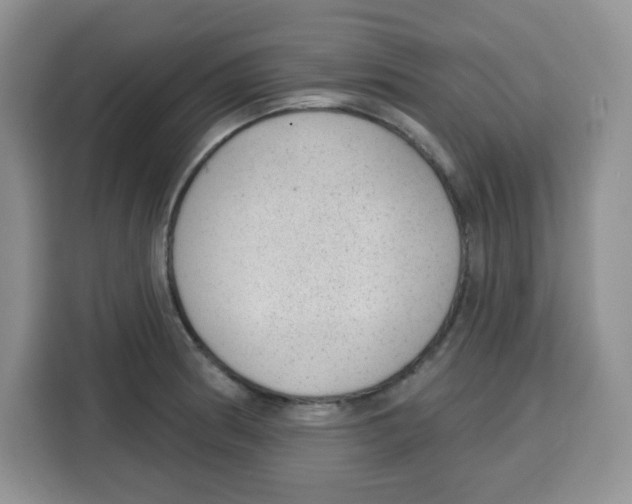 X0000115161186200911241543