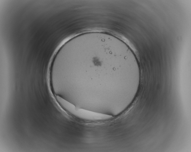 X0000115161187200911241543