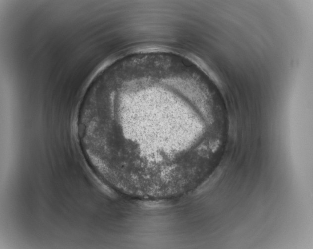 X0000115161189200911241543