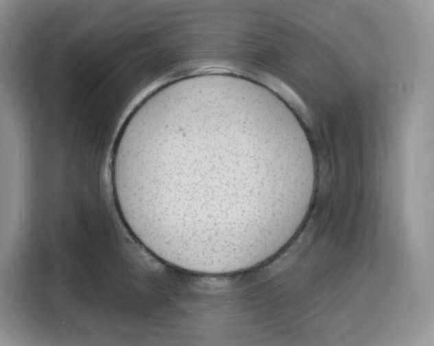 X0000115161190200911241543