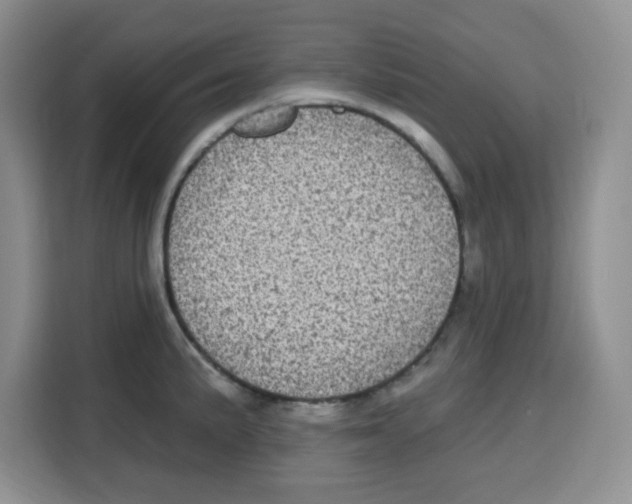 X0000115161191200911241543