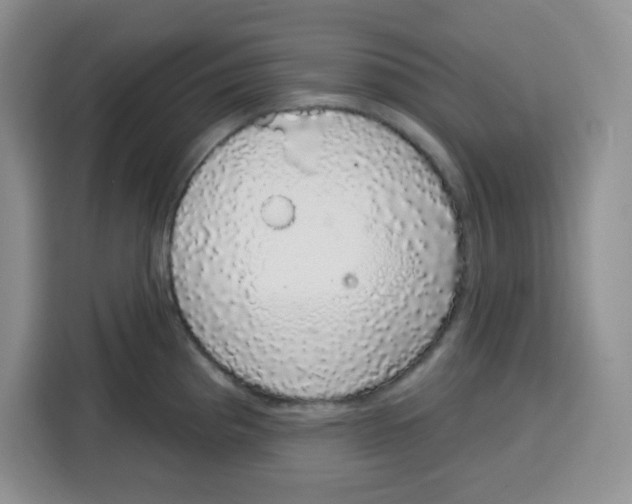 X0000115161193200911241543