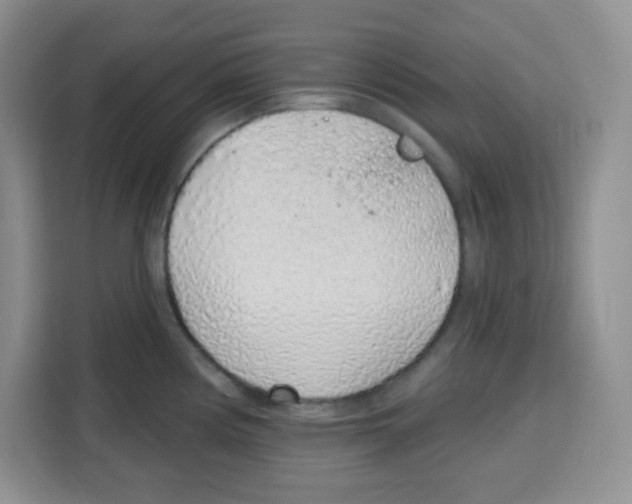 X0000115161194200911241543