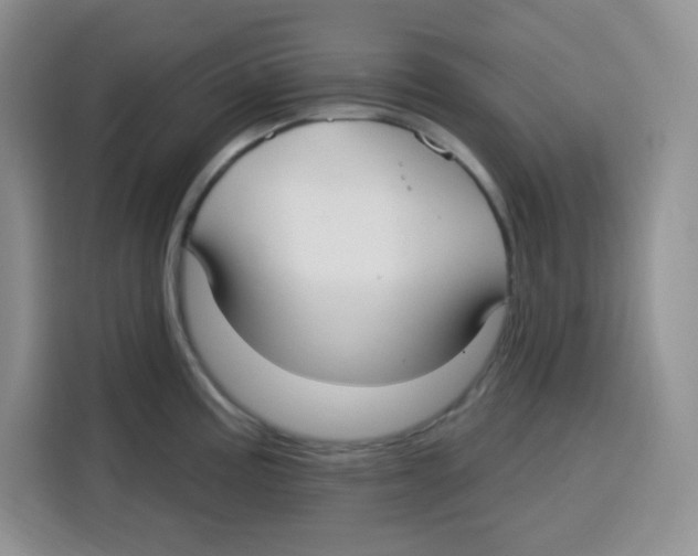 X0000115161195200911241543