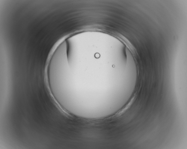 X0000115161196200911241543