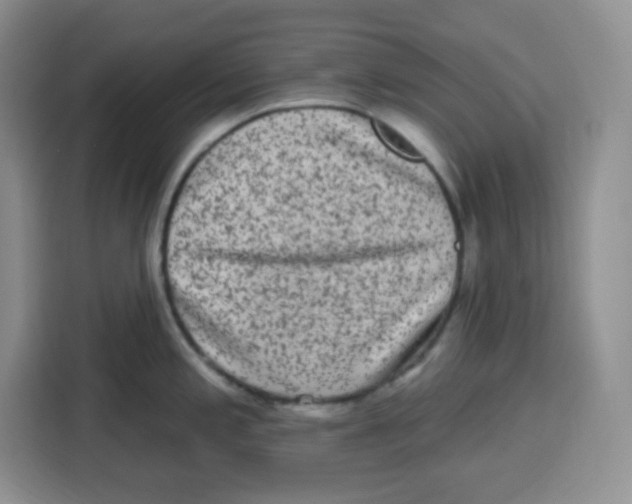 X0000115161197200911241543