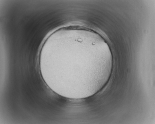 X0000115161200200911241542