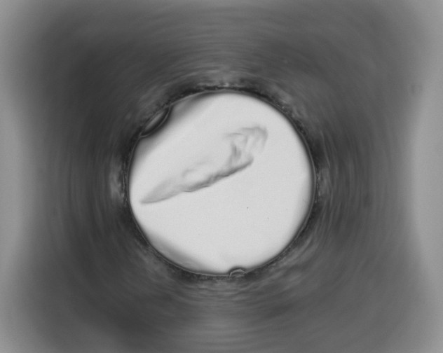 X0000115161202200911241542