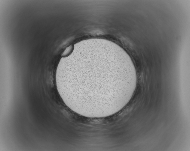 X0000115161205200911241542