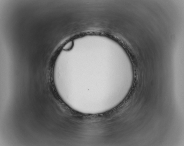 X0000115161208200911241542