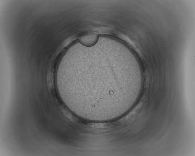 X0000115161211200911241542