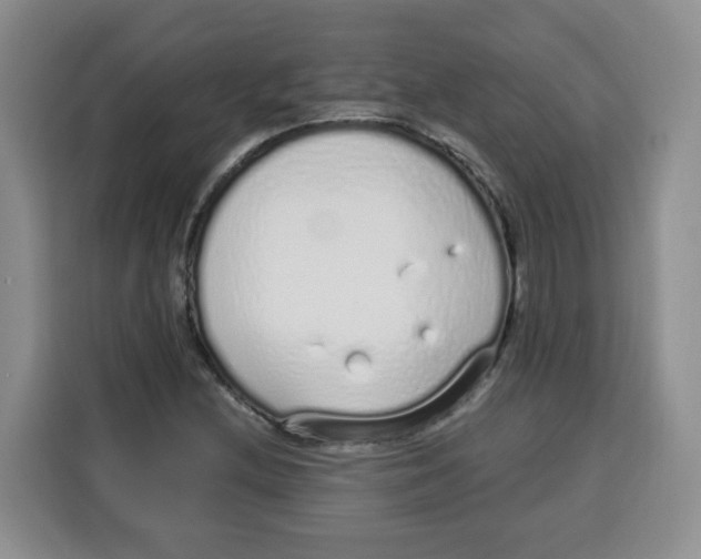 X0000115161212200911241542