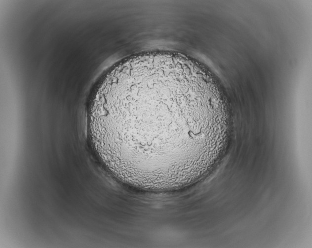 X0000115161219200911241542