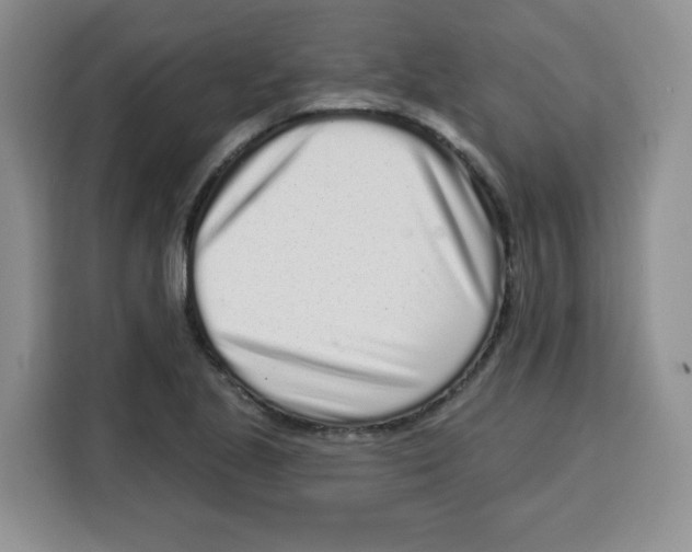 X0000115161221200911241542