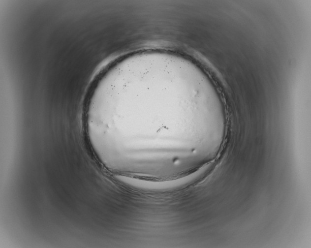 X0000115161222200911241542