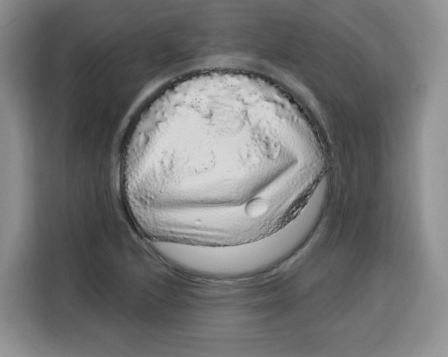 X0000115161224200911241542