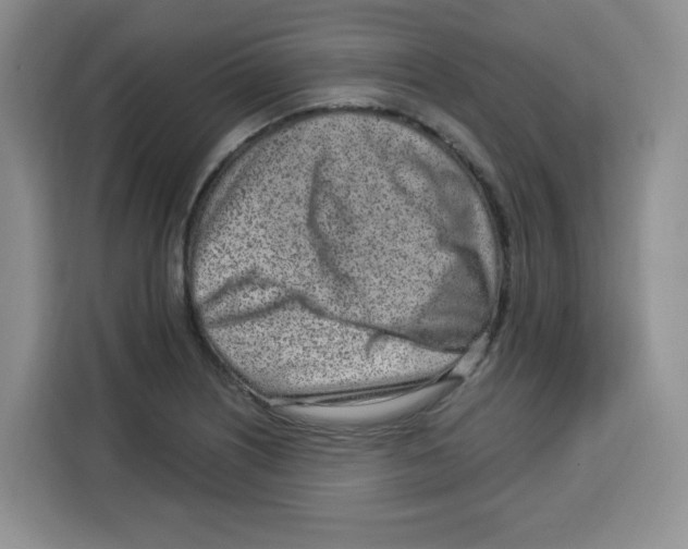 X0000115161226200911241542