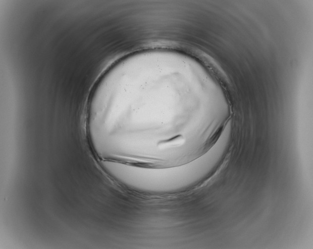 X0000115161228200911241542