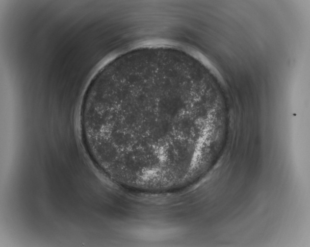 X0000115161229200911241542