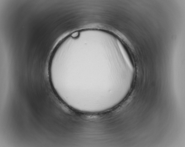 X0000115161230200911241542