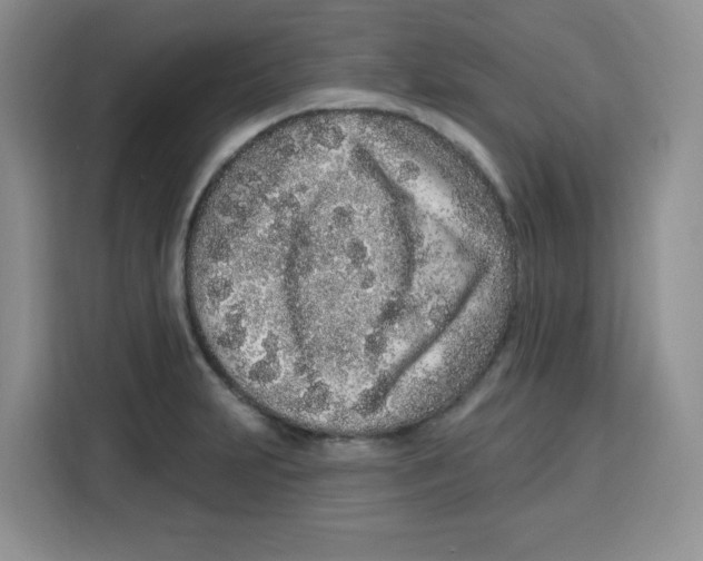 X0000115161231200911241542