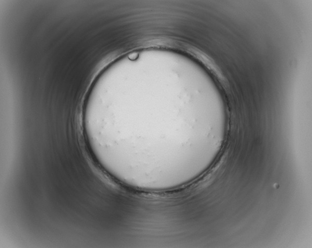 X0000115161234200911241542