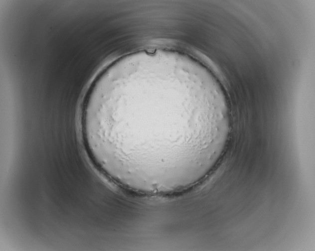 X0000115161235200911241542