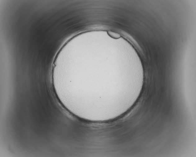 X0000115161236200911241542