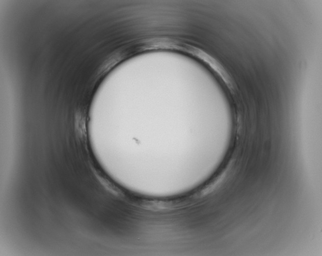 X0000115161241200911241542