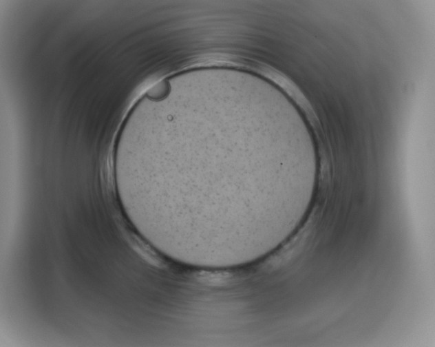 X0000115161242200911241542