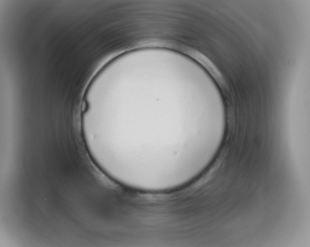 X0000115161244200911241542