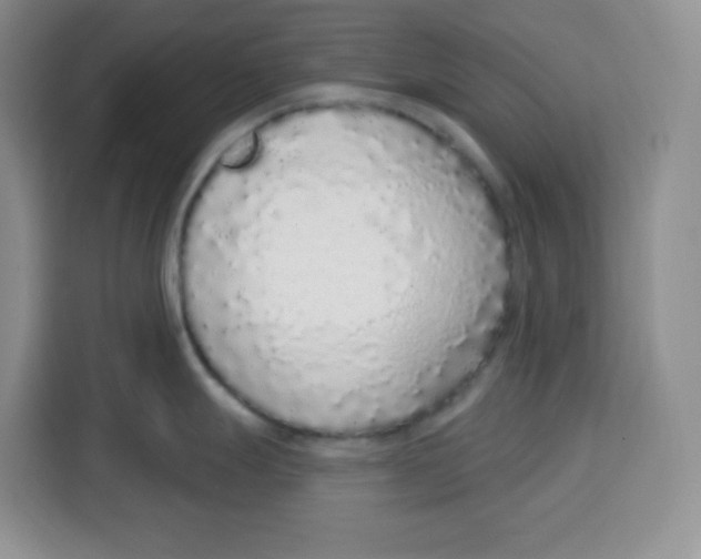 X0000115161247200911241542