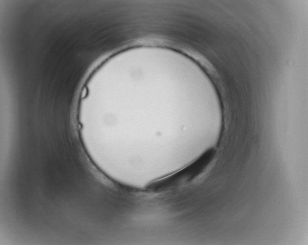 X0000115161248200911241542