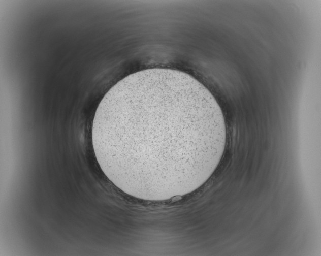 X0000115161250200911241542