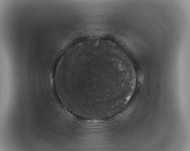 X0000115161252200911241542