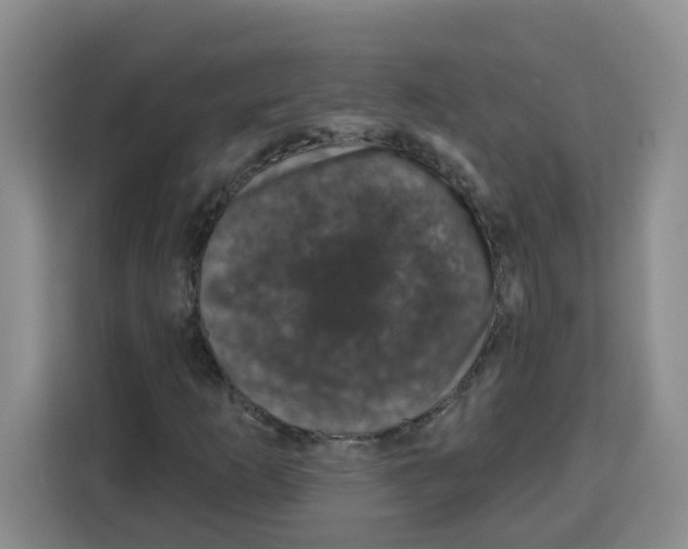 X0000115161253200911241542