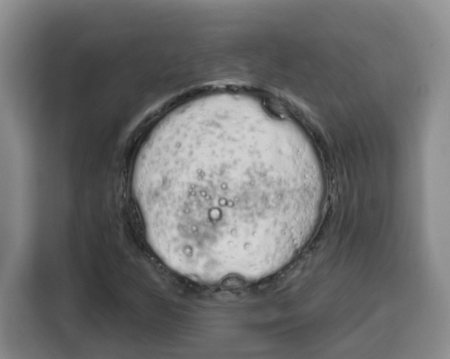 X0000115161255200911241542