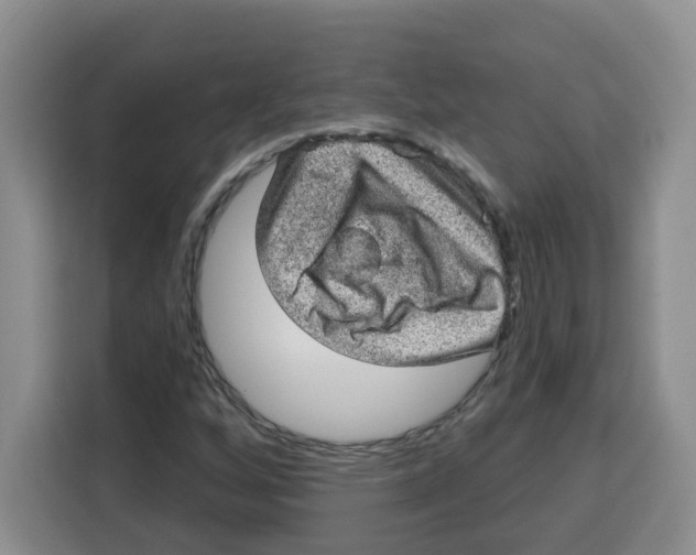 X0000115161256200911241542